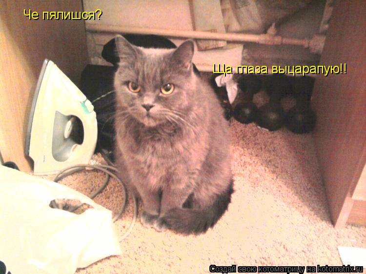 Котоматрица: Че пялишся? Ща глаза выцарапую!!