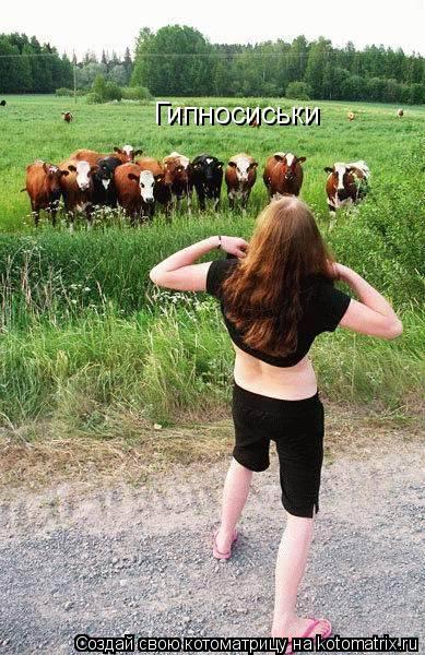 Котоматрица: Гипносиськи