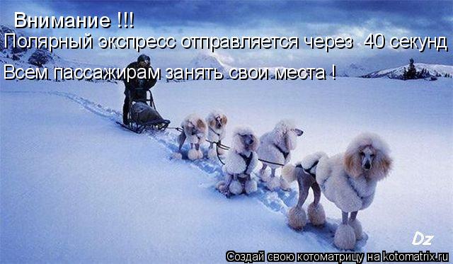 Котоматрица: Внимание !!! Полярный экспресс отправляется через  40 секунд ! Всем пассажирам занять свои места !