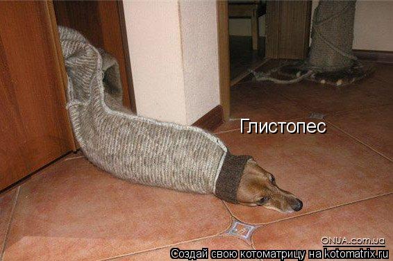 Котоматрица: Глистопес