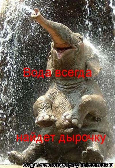 Котоматрица: Вода всегда найдет дырочку