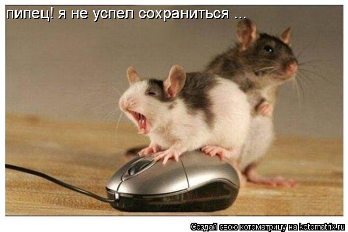 пипец! я не успел сохраниться ...... Котоматрица: пипец! я не успел сохраниться ...
