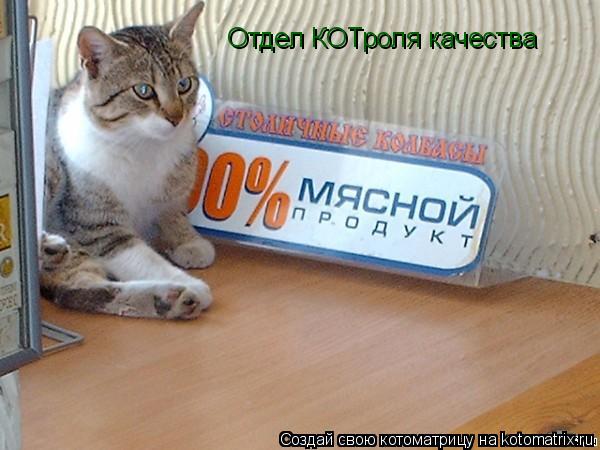 Отдел КОТроля качества... Котоматрица: Отдел КОТроля качества