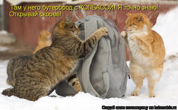 Там у него бутерброд с КОЛБАСОЙ! Я точно знаю! Открывай скорее!... Котоматрица: Там у него бутерброд с КОЛБАСОЙ! Я точно знаю! Открывай скорее!
