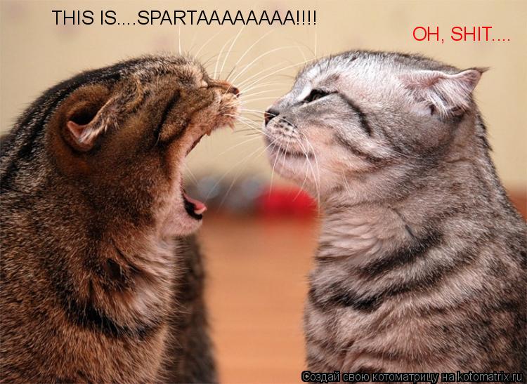 THIS IS....SPARTAAAAAAAA!!!! OH, SHIT....... Котоматрица: THIS IS....SPARTAAAAAAAA!!!! OH, SHIT....