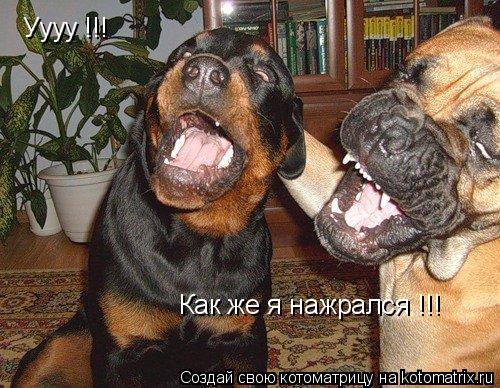 Уууу !!! Как же я нажрался !!!... Котоматрица: Уууу !!! Как же я нажрался !!!