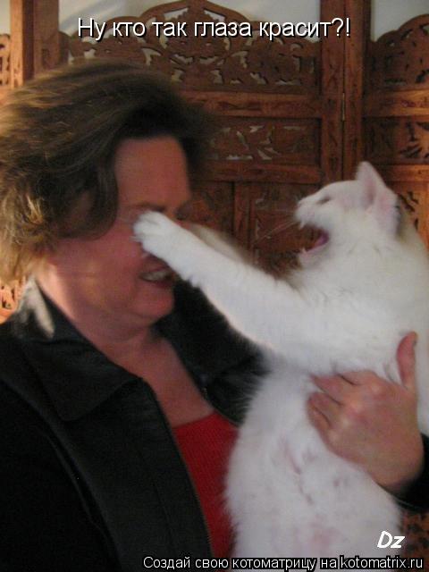 Ну кто так глаза красит?!... Котоматрица: Ну кто так глаза красит?!