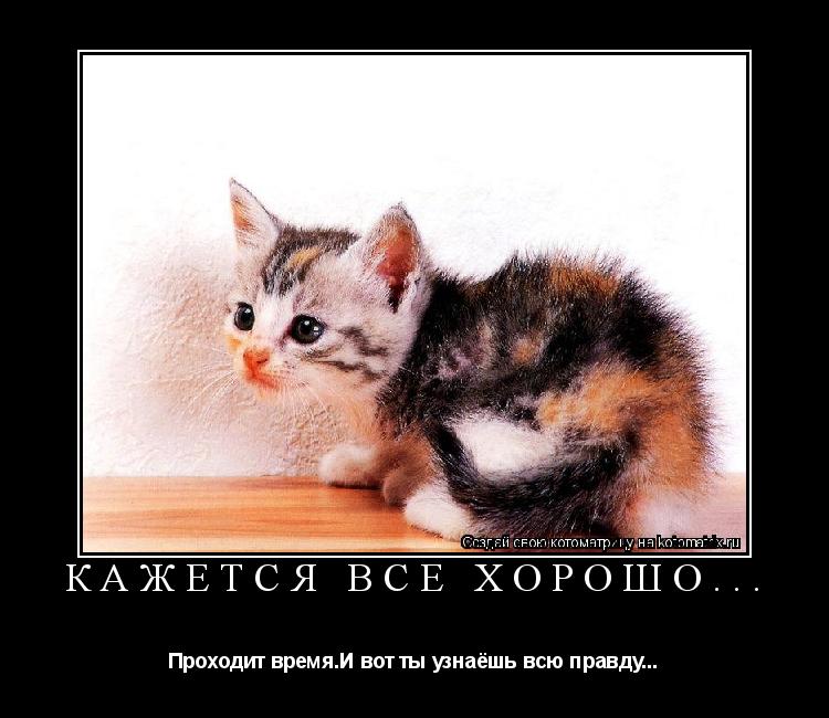 Кажется всё хорошо... Проходит время.И вот ты узнаёшь всю правду...... Котоматрица: Кажется всё хорошо... Проходит время.И вот ты узнаёшь всю правду...
