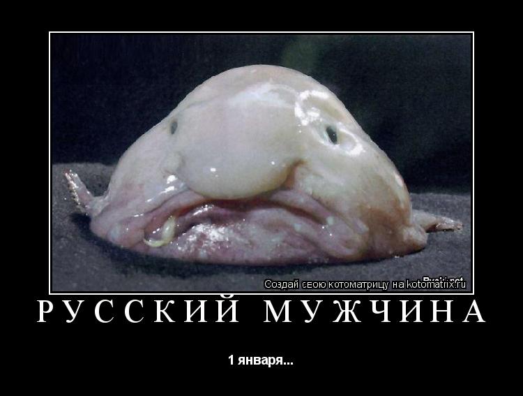 Котоматрица: русский мужчина 1 января...