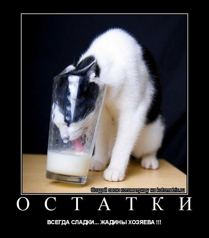 О С Т А Т К И ВСЕГДА СЛАДКИ... ЖАДИНЫ ХОЗЯЕВА !!!... Котоматрица: О С Т А Т К И ВСЕГДА СЛАДКИ... ЖАДИНЫ ХОЗЯЕВА !!!