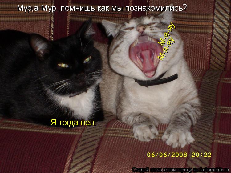 Аренда квартир в Минске «Сонник Туфли приснились, к чему снятся во сне Туфли»