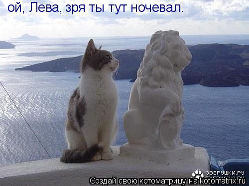 Котоматрица: ой, Лева, зря ты тут ночевал.