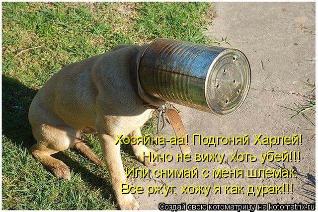 Хозяйна-аа! Подгоняй Харлей! Ничо не вижу, хоть убей!!! Или снимай с меня шлемак, Все ржут, хожу я ... Котоматрица: Хозяйна-аа! Подгоняй Харлей! Ничо не вижу, хоть убей!!! Или снимай с меня шлемак, Все ржут, хожу я как дурак!!!