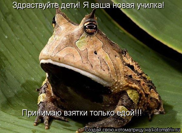 Здраствуйте дети! Я ваша новая училка! Принимаю взятки только едой!!!... Котоматрица: Здраствуйте дети! Я ваша новая училка! Принимаю взятки только едой!!!