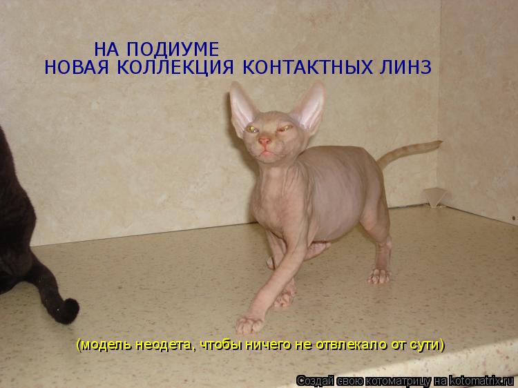 НА ПОДИУМЕ НОВАЯ КОЛЛЕКЦИЯ КОНТАКТНЫХ ЛИНЗ (модель неодета, чтобы ничего не отвлекало от сути)... Котоматрица: НА ПОДИУМЕ НОВАЯ КОЛЛЕКЦИЯ КОНТАКТНЫХ ЛИНЗ (модель неодета, чтобы ничего не отвлекало от сути)