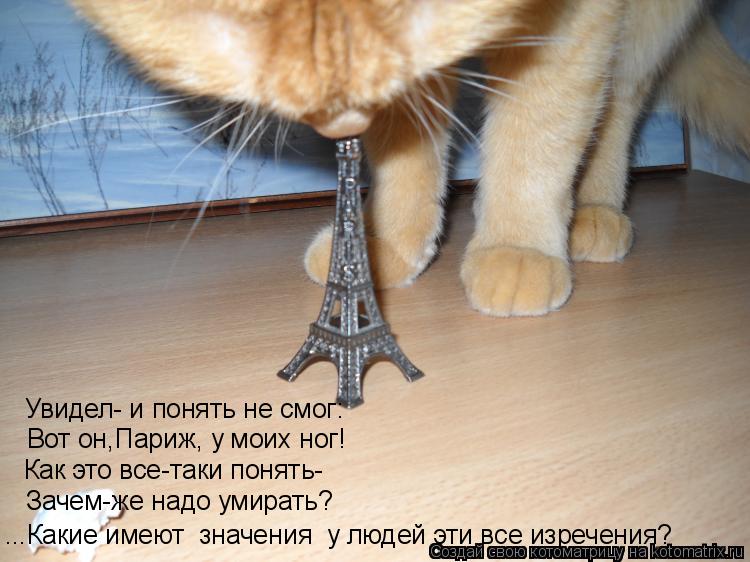 Увидел- и понять не смог: Вот он,Париж, у моих ног! Как это все-таки понять- Зачем-же надо умирать? .... Котоматрица: Увидел- и понять не смог: Вот он,Париж, у моих ног! Как это все-таки понять- Зачем-же надо умирать? ...Какие имеют значения у людей эти все изре