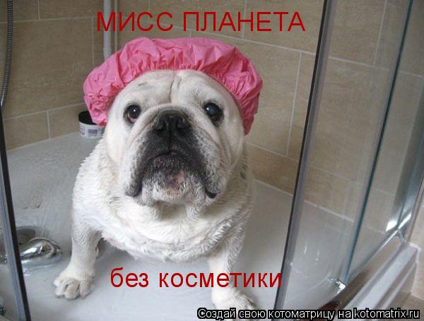 МИСС ПЛАНЕТА без косметики... Котоматрица: МИСС ПЛАНЕТА без косметики