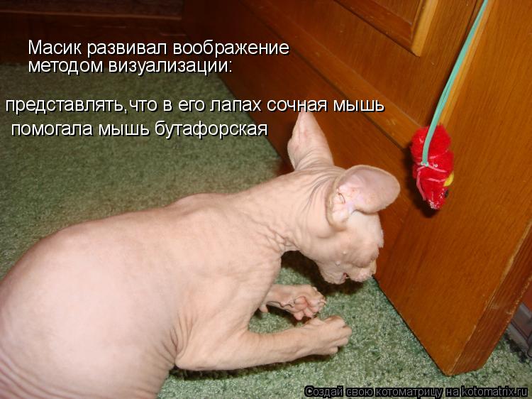 Масик развивал воображение помогала мышь бутафорская представлять,что в его лапах сочная мышь методом... Котоматрица: Масик развивал воображение помогала мышь бутафорская представлять,что в его лапах сочная мышь методом визуализации: