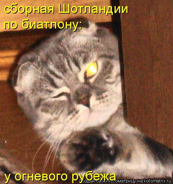 сборная Шотландии по биатлону: у огневого рубежа... Котоматрица: сборная Шотландии по биатлону: у огневого рубежа