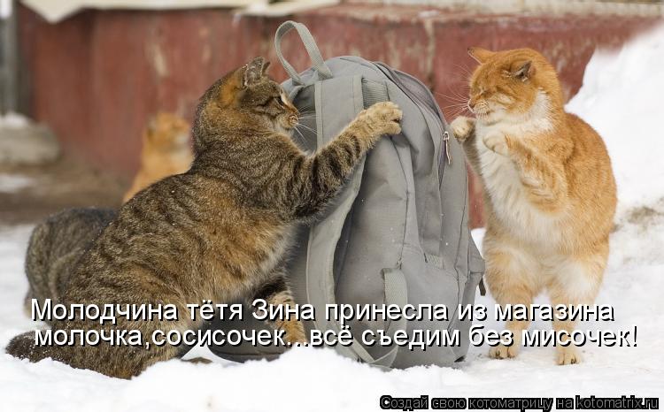 Молодчина тётя Зина принесла из магазина молочка,сосисочек...всё съедим без мисочек!... Котоматрица: Молодчина тётя Зина принесла из магазина молочка,сосисочек...всё съедим без мисочек!
