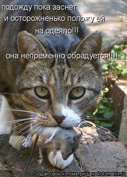 подожду пока заснет и осторожненько положу ей на одеяло!!! она непременно обрадуется!!!!... Котоматрица: подожду пока заснет и осторожненько положу ей на одеяло!!! она непременно обрадуется!!!!