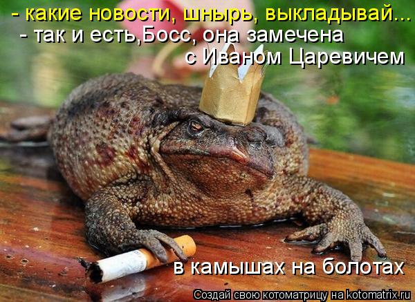 так и есть - так и есть,Босс, она замечена с Иваном Царевичем в камышах на болотах - какие новост... Котоматрица: так и есть - так и есть,Босс, она замечена с Иваном Царевичем в камышах на болотах - какие новости, шнырь, выкладывай...