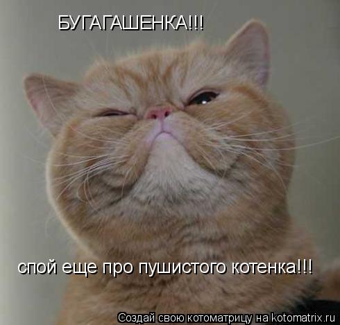 БУГАГАШЕНКА!!! спой еще про пушистого котенка!!!... Котоматрица: БУГАГАШЕНКА!!! спой еще про пушистого котенка!!!