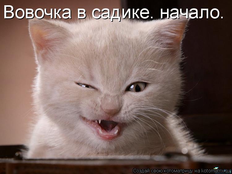 Вовочка в садике. начало.... Котоматрица: Вовочка в садике. начало.