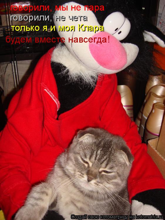 говорили, мы не пара говорили, не чета только я и моя Клара будем вместе навсегда!... Котоматрица: говорили, мы не пара говорили, не чета только я и моя Клара будем вместе навсегда!