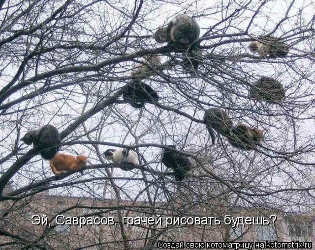 Эй, Саврасов, грачей рисовать будешь?... Котоматрица: Эй, Саврасов, грачей рисовать будешь?