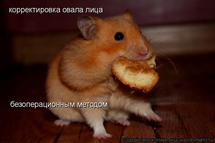корректировка овала лица безоперационным методом... Котоматрица: корректировка овала лица безоперационным методом