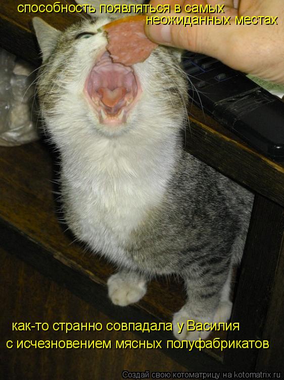 способность появляться в самых неожиданных местах как-то странно совпадала у Василия с исчезновением ... Котоматрица: способность появляться в самых неожиданных местах как-то странно совпадала у Василия с исчезновением мясных полуфабрикатов