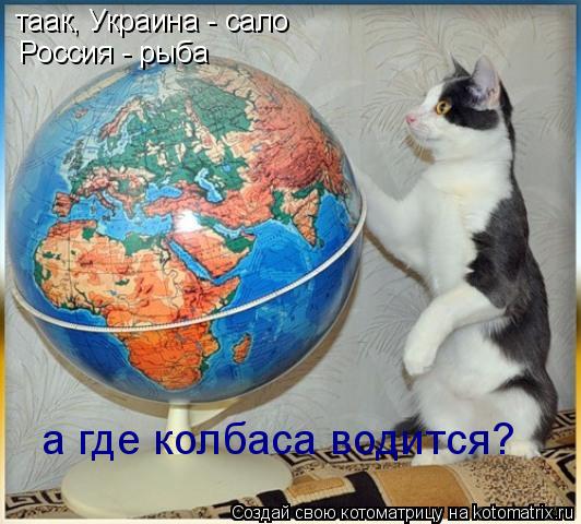 таак, Украина - сало Россия - рыба а где колбаса водится?... Котоматрица: таак, Украина - сало Россия - рыба а где колбаса водится?