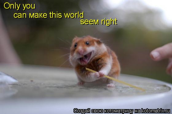 Оnlу уоu саn маке this wоrld sеем right... Котоматрица: Оnlу уоu саn маке this wоrld sеем right