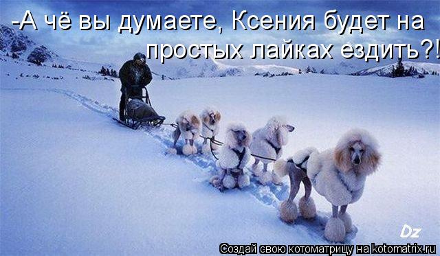 -А чё вы думаете, Ксения будет на простых лайках ездить?!... Котоматрица: -А чё вы думаете, Ксения будет на простых лайках ездить?!