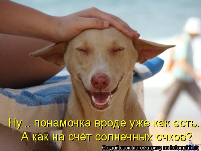 Ну... понамочка вроде уже как есть. А как на счёт солнечных очков?... Котоматрица: Ну... понамочка вроде уже как есть. А как на счёт солнечных очков?