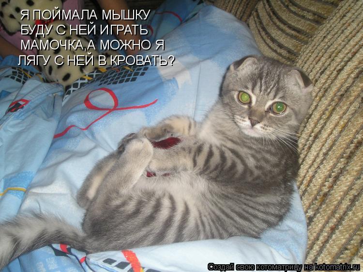 Я ПОЙМАЛА МЫШКУ БУДУ С НЕЙ ИГРАТЬ МАМОЧКА,А МОЖНО Я ЛЯГУ С НЕЙ В КРОВАТЬ?... Котоматрица: Я ПОЙМАЛА МЫШКУ БУДУ С НЕЙ ИГРАТЬ МАМОЧКА,А МОЖНО Я ЛЯГУ С НЕЙ В КРОВАТЬ?