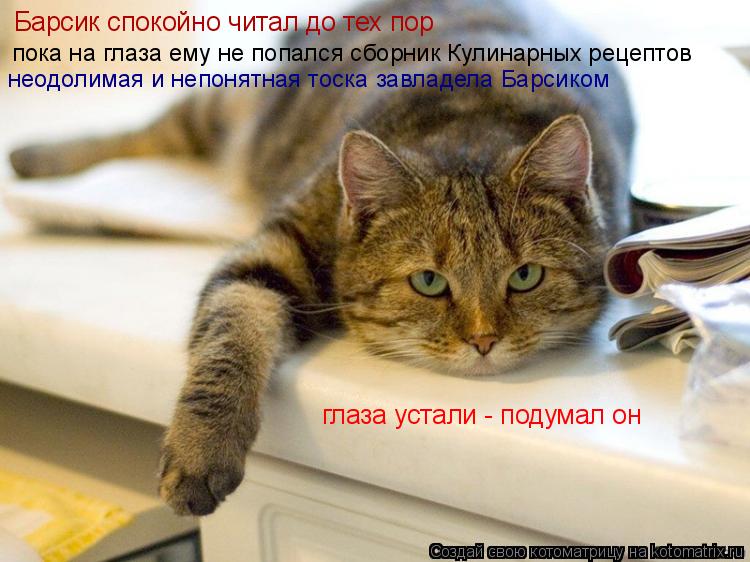 неодолимая и непонятная тоска завладела Барсиком глаза устали - подумал он пока на глаза ему не попал... Котоматрица: неодолимая и непонятная тоска завладела Барсиком глаза устали - подумал он пока на глаза ему не попался сборник Кулинарных рецептов Барсик