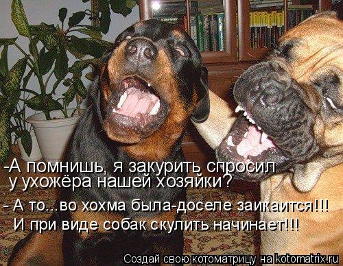 -А помнишь, я закурить спросил у ухожёра нашей хозяйки? - А то...во хохма была-доселе заикаится!!! И... Котоматрица: -А помнишь, я закурить спросил у ухожёра нашей хозяйки? - А то...во хохма была-доселе заикаится!!! И при виде собак скулить начинает!!!