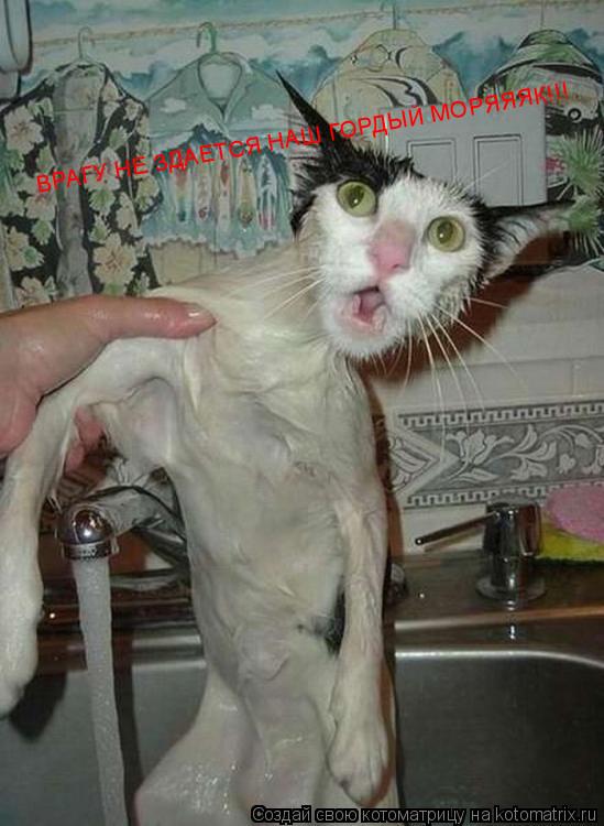 ВРАГУ НЕ ЗДАЕТСЯ НАШ ГОРДЫЙ МОРЯЯЯК!!!... Котоматрица: ВРАГУ НЕ ЗДАЕТСЯ НАШ ГОРДЫЙ МОРЯЯЯК!!!
