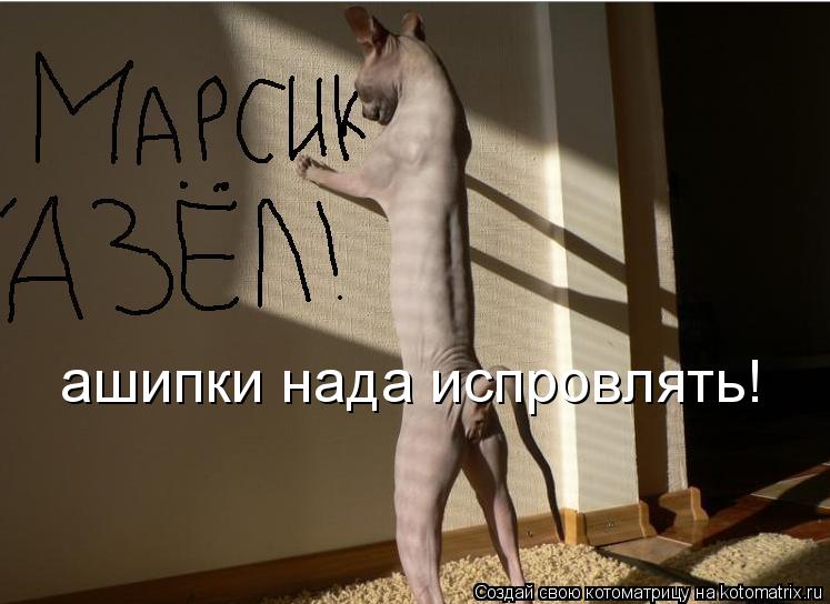 ашипки нада испрoвлять!... Котоматрица: ашипки нада испрoвлять!