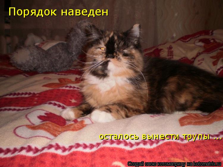 Порядок наведен осталось вынести трупы ...... Котоматрица: Порядок наведен осталось вынести трупы ...