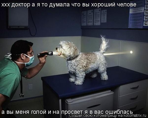 ххх доктор а я то думала что вы хороший челове а вы меня голой и на просвет я в вас ошиблась... Котоматрица: ххх доктор а я то думала что вы хороший челове а вы меня голой и на просвет я в вас ошиблась