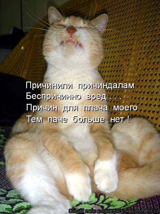 Котоматрица: Причинили  причиндалам  Беспричинно  вред . . . Причин  для  плача  моего Тем  паче  больше  нет !