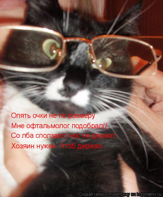 Опять очки не по размеру Мне офтальмолог подобрал(( Со лба сползают, нос не держит, Хозяин нужен. Что... Котоматрица: Опять очки не по размеру Мне офтальмолог подобрал(( Со лба сползают, нос не держит, Хозяин нужен. Чтоб держал..