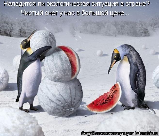 Наладится ли экологическая ситуация в стране? Чистый снег у нас в большой цене...... Котоматрица: Наладится ли экологическая ситуация в стране? Чистый снег у нас в большой цене...