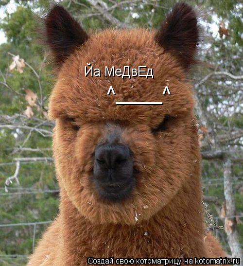 Йа МеДвЕд ^ ^ ____... Котоматрица: Йа МеДвЕд ^ ^ ____