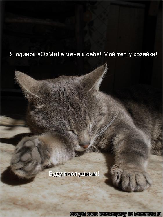 Я одинок вОзМиТе меня к себе! Мой тел у хозяйки! Буду послушным!... Котоматрица: Я одинок вОзМиТе меня к себе! Мой тел у хозяйки! Буду послушным!
