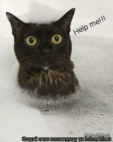 Help me!!!... Котоматрица: Help me!!!