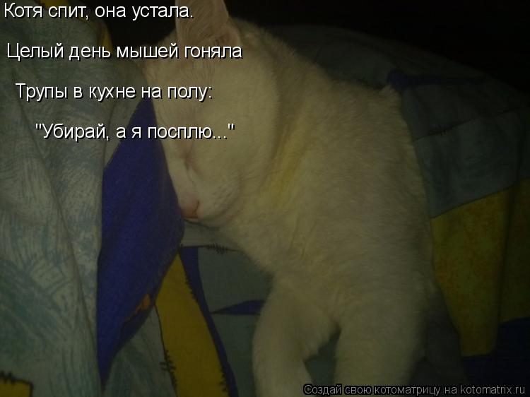 Котя спит, она устала. Целый день мышей гоняла Трупы в кухне на полу: "Убирай, а я посплю..."... Котоматрица: Котя спит, она устала. Целый день мышей гоняла Трупы в кухне на полу: "Убирай, а я посплю..."